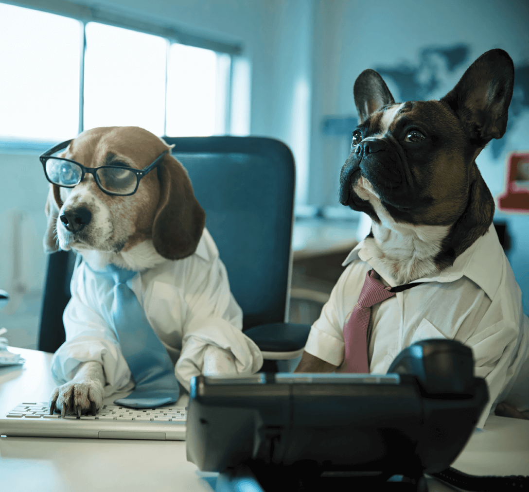 Office Dogs Tokyo Tech Support